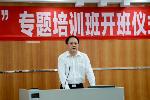 公司党委副书记石佑启致辞